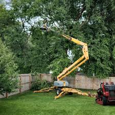 Best Storm Damage Tree Cleanup  in Alta, IA